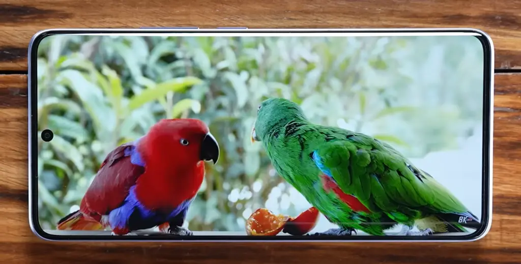 Redmi Note 13 Pro Plus 5G Display